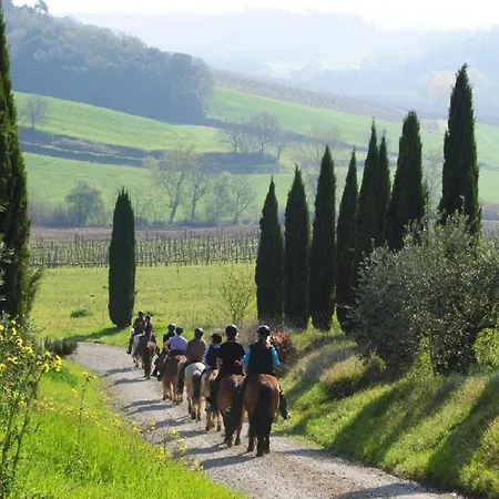 Castello Di Fulignano Leonardo Ground Floor شقة